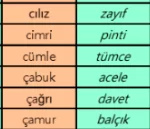 Çağrı