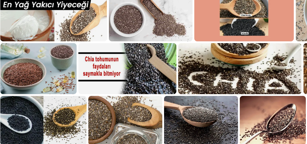 ciya-tohumu-ibrahim-saracoglu-onerileri-ve-chia-tohumu-yan-etkileri-80871