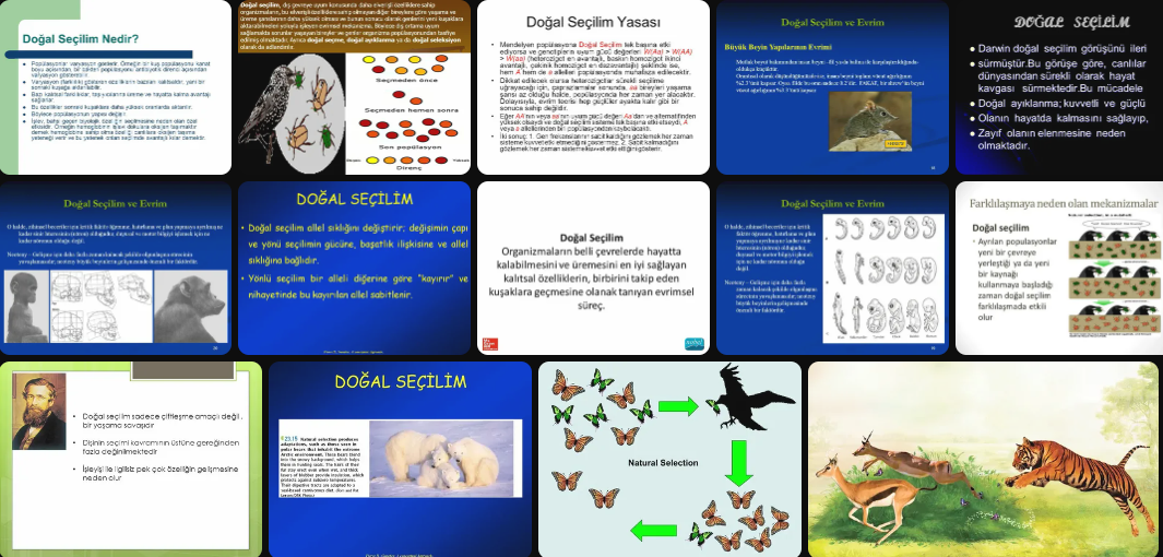 dogal-secilim-nedir-36582