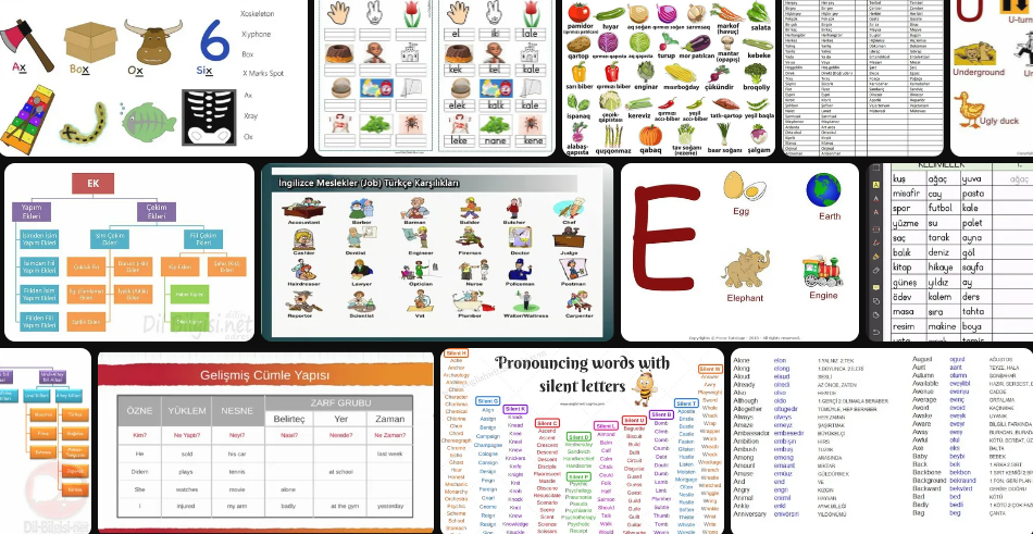 e-harfiyle-baslayan-esyalarin-isimleri-ve-bazilari-hakkinda-bilgi-78292