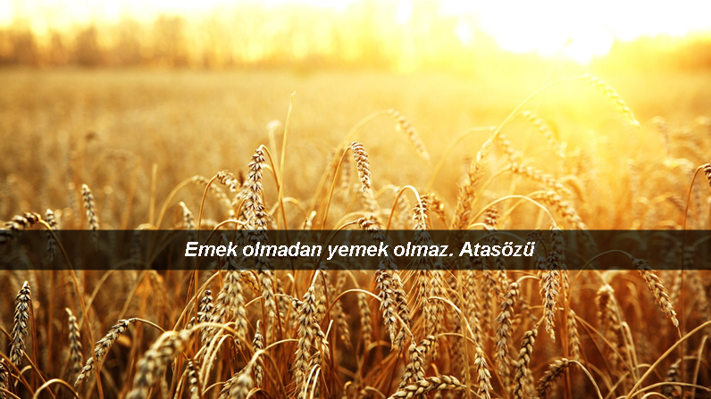 emek-olmadan-yemek-olmaz-atasozu-ne-demek-hikayesi-nedir-47656