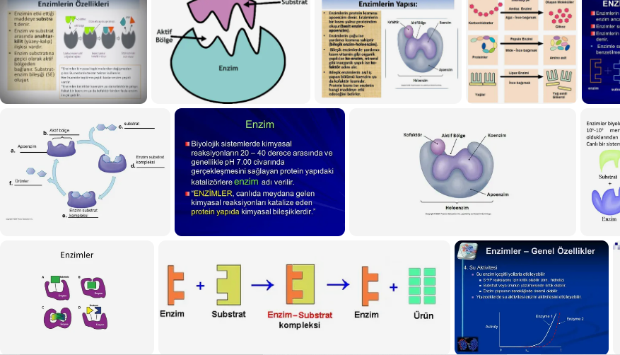 enzimlerin-kullanim-alanlari-nelerdir-10094