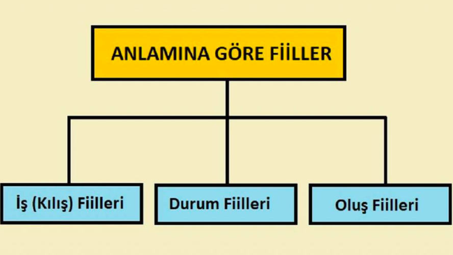 fiiller-anlamlarina-gore-kaca-ayrilir-ve-ozellikleri-nelerdir-77133