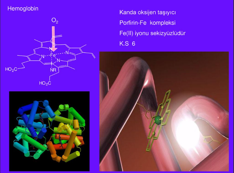 kanda-oksijen-degeri-dustugunde-neler-olur-oksijen-degeri-nasil-yukseltilir-75961