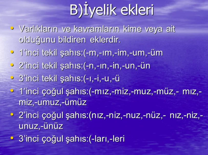 Kişi