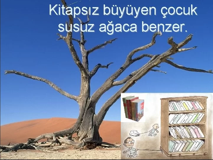 Kitapsız