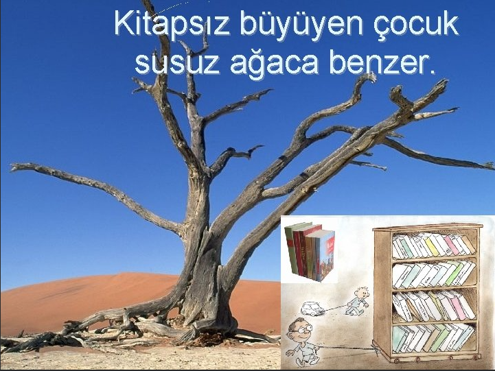 kitapsiz-buyuyen-cocuk-susuz-yetisen-agaca-benzer-atasozunu-aciklayin-7575