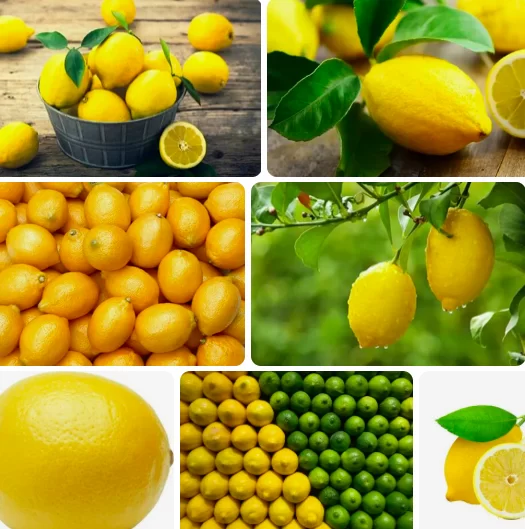 Limon