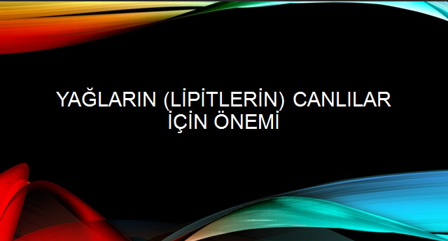 lipitlerin-canlilar-icin-onemi-75309