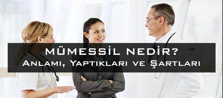 mumessil-ne-demek-ne-is-yapar-4756