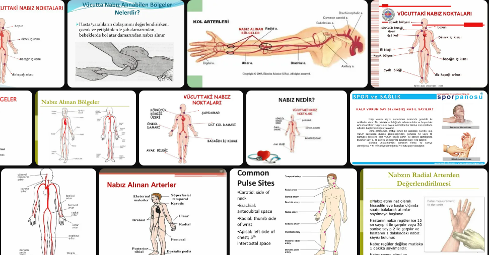 nabiz-nereden-alinir-nasil-olculur-nabiz-alanlarinin-latince-isimleri-6150