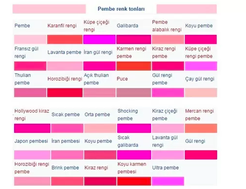 pembe-renk-tonlarinin-isimleri-ve-kodlari-82060