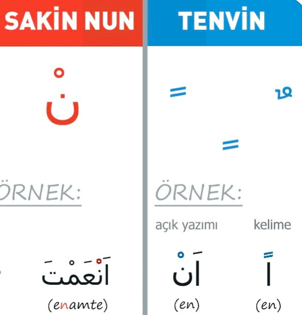 tenvin-ve-sakin-nun-nedir-ozellikleri-nelerdir-37950