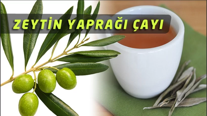 Zeytin